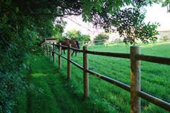 cl&ocirc;ture rondin bois montil